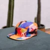 Burton Artist Series Hat